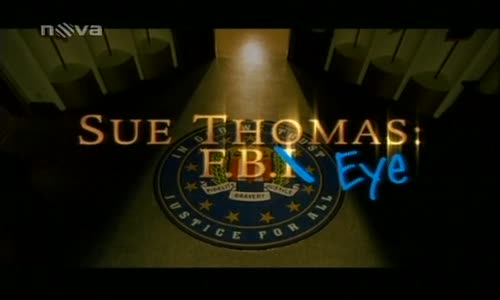 Sue Thomas, Agentka FBI 1x12 - Loupež avi