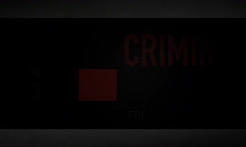 Criminal Minds S13E14 WEBRip SK A9 mkv