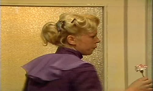 Začalo to karafiátem (1981) avi