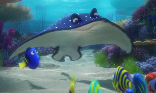 (HD) Hledá se Dory (2016) mkv