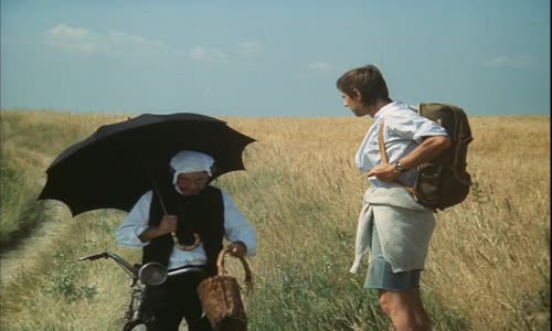 Slunce, seno, jahody (1983) avi