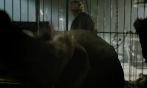 Da Vinciho demoni (Da Vinci's Demons) 01x05 Vez avi