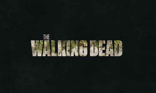 The Walking Dead S09e10 Omega mkv