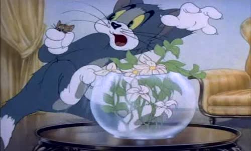 Tom & Jerry - Tom a kraska avi
