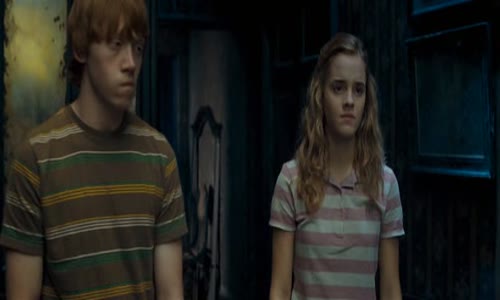 Harry Potter a Fenixov rad-2007-SK Dabing avi