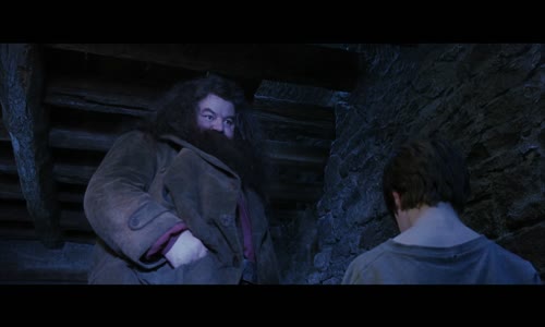Harry Potter and the Sorcerer's Stone 2001 Ultimate Extended Edition 1080p Blu ray Multisub Remux VC 1 DTS HD MA 5 1   KRaLiMaRKo   Harry Potter a kámen mudrců   1080p   ultimátní prodloužená edice mkv