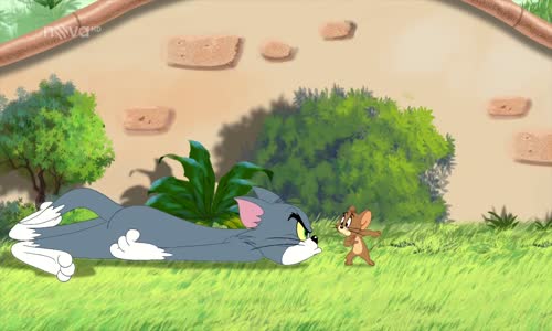 tom and jerry (1) mp4