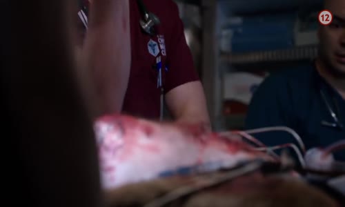 Chicago Med S06e12 Webrip SK mkv