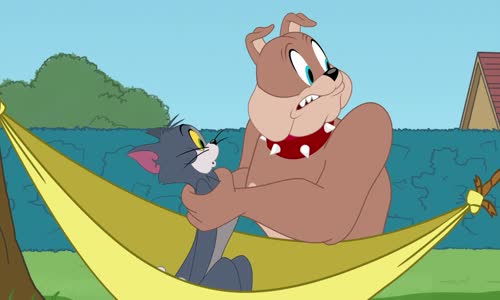 The Tom and Jerry Show_S02E12_Dental Case mkv