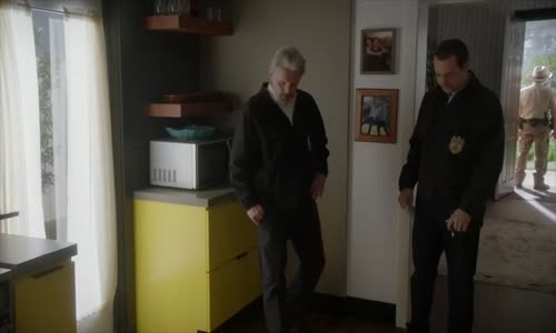 ncis s20e18 web xvid avi