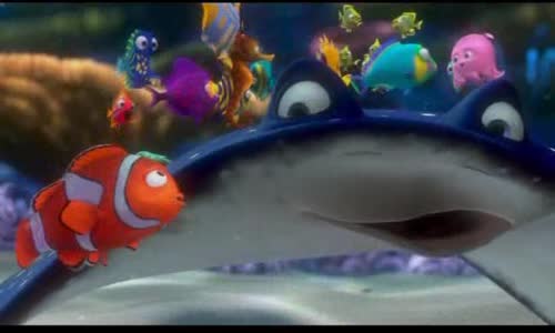 Hlada sa Nemo avi