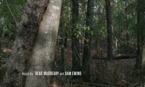 The Walking Dead S11E22 mkv