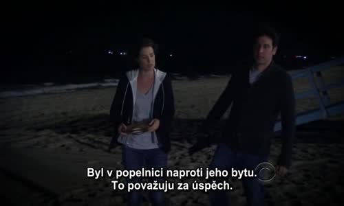 How I Met Your Mother S09E17 cz titulky avi