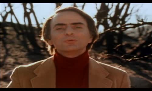 Carl Sagan Cosmos (4) avi