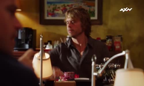 NCIS LA S02E11 TVRIP XviD cz avi