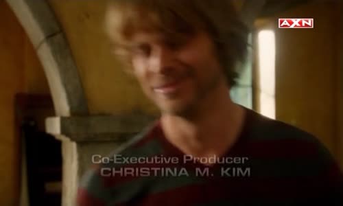 NCIS LA S03E19 TVRIP XviD cz avi