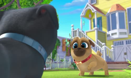 Kamosi hafici Puppy Dog Pals S01E06 HD CZ dabing mkv