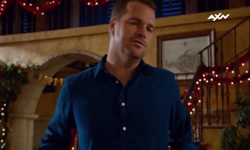 NCIS LA S08E11 TVRIP XviD cz avi