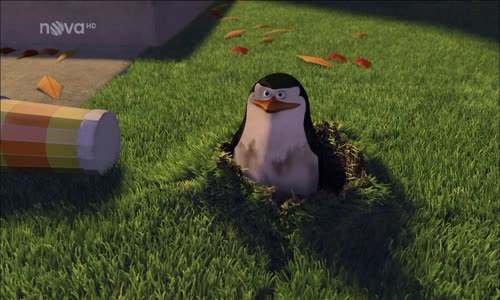 Madagaskar 1 avi