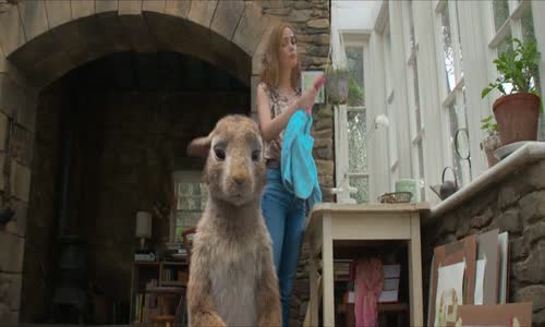 Králíček Petr (Peter Rabbit, 2018) avi