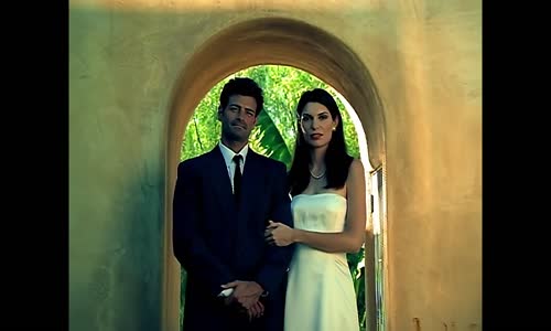 Don Henley - For My Wedding (Official Music Video) mp4