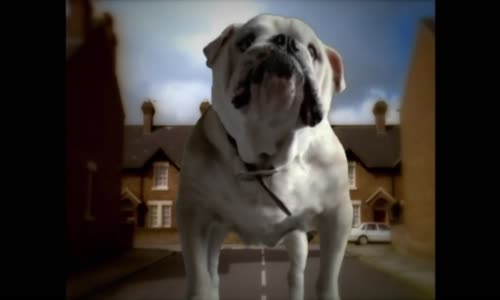 Elton John - Made In England mp4