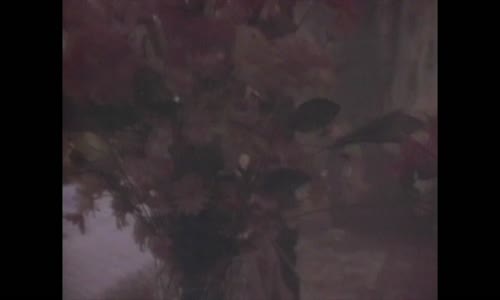 Fleetwood Mac - Gypsy (Official Music Video) mp4