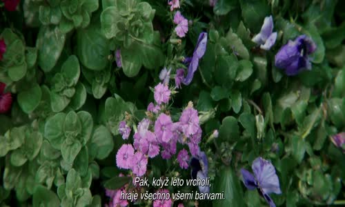 Master Gardener (2023) CZ titulky v obraze mp4