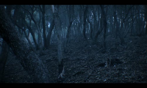 From S02E10 1080p x265-ELiTE mkv