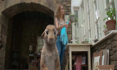 Králíček Petr (Peter Rabbit, 2018) mkv