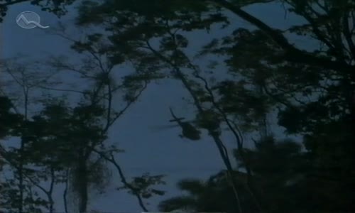 Predátor (1987) mkv