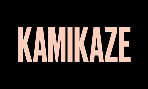 Kamikaze_S01E02_Before and After mkv