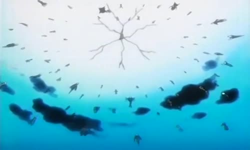 Bleach 14 Cz Dabing mp4
