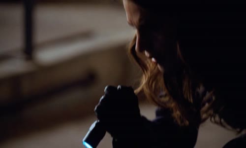 Castle na zabití S04E15 CZ Dabing avi