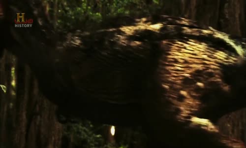 Vetřelci dávnověku S04E10 - Mimozemšťané a dinosauři mkv