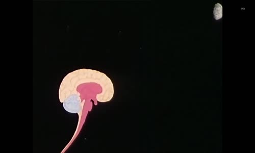 Byl jednou jeden život S01E09 (1986 SD) Mozek (SD) mp4