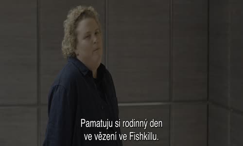 FUBAR (S01E06) CZ titulky v obraze mp4