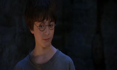 Harry Potter 1 - Harry Potter a kamen mudrcu avi