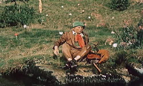 Obušku z pytle ven (1955) avi