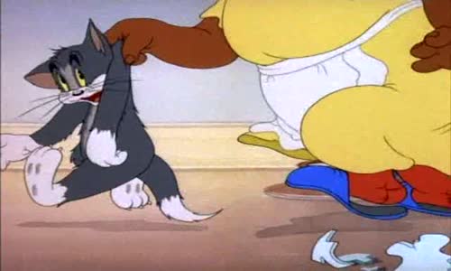 Tom & Jerry - Osamela mys avi