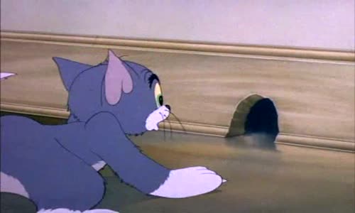 Tom & Jerry - Potize se psem avi