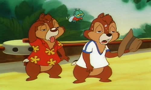 Chip a Dale - Rychla rota 38  Pocasi nebo zivot avi