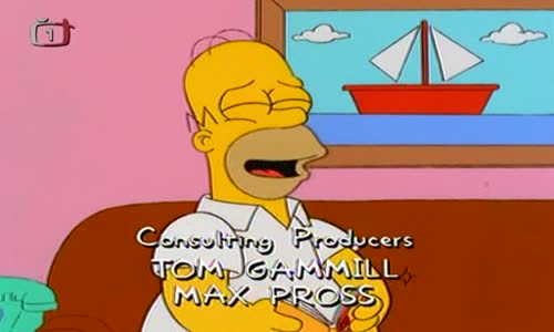 Simpsonovci CZ 10x13 - Homer - Maxi Obr avi