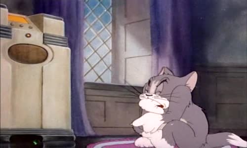 Tom & Jerry - Vystraseny kocour avi