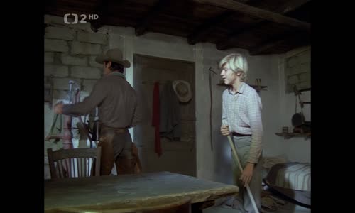 Valdézovi koně-western Fr It 1973 TVRip CZ (Ch Bronson) mkv