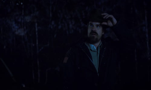 Stranger Things S02E03 Chapter Three The Pollywog 1080p mkv