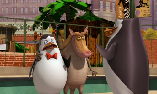 Tucnaci z Madagaskaru The Penguins of Madagascar S02E11 HD CZ dabing mp4