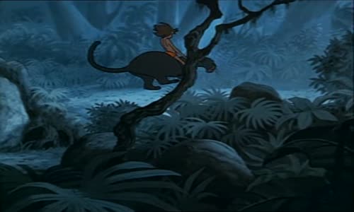 Kniha-džunglí---Disney avi