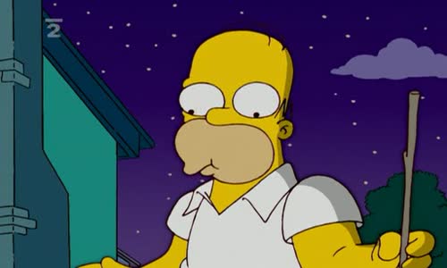 Simpsonovci CZ 18x16 - Homerazzi avi