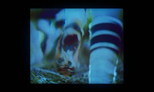 Yellowjackets S01E04 horor USA 2022 CZ TITULKY mkv